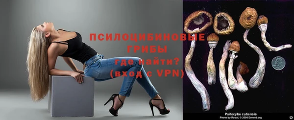 Альфа ПВП Алзамай
