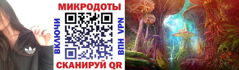 Псилоцибиновые грибы MAGIC MUSHROOMS  даркнет сайт  Данков 